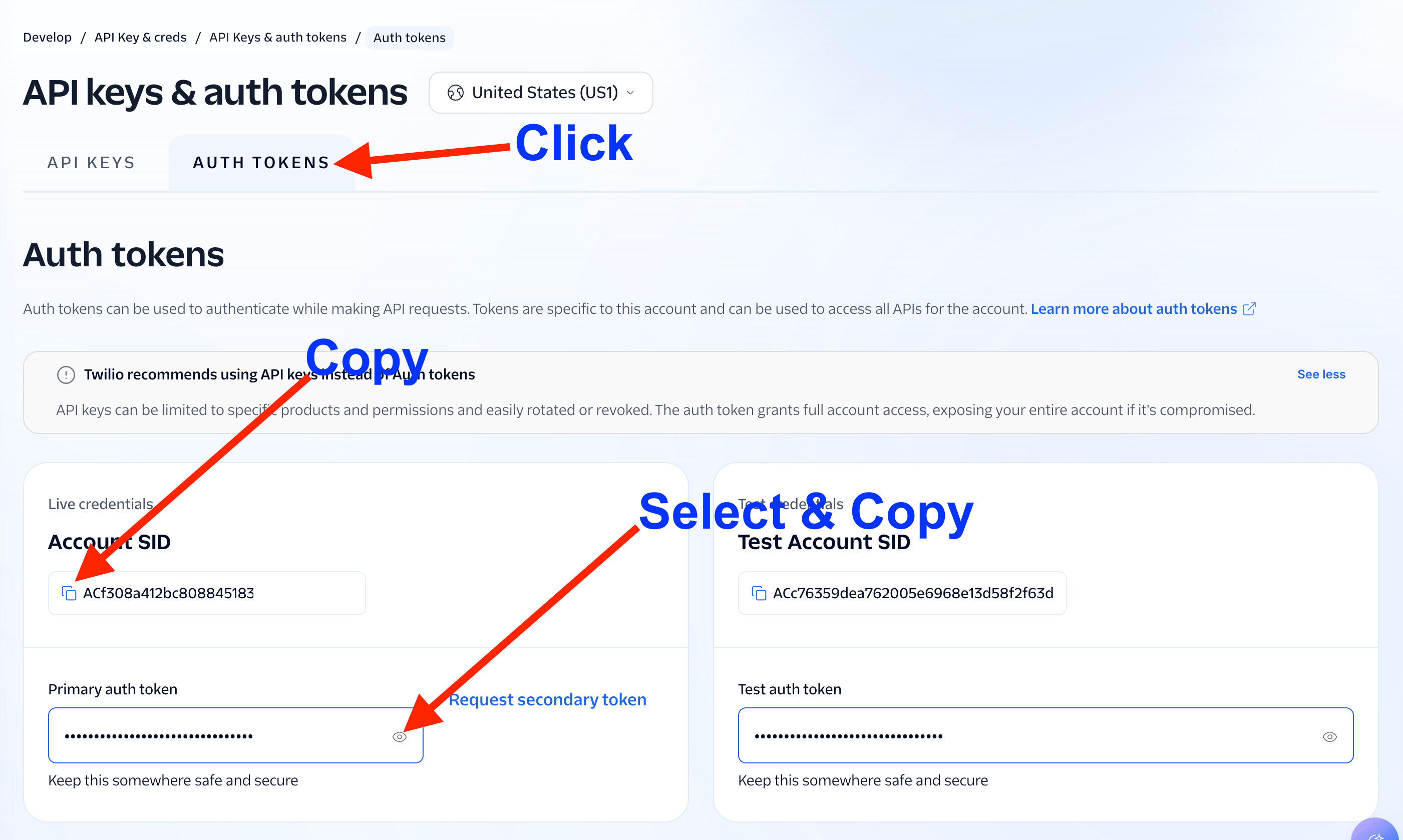 Twilio Auth tokens tab with Account SID and Primary auth token highlighted